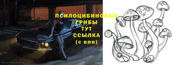крисы Заводоуковск