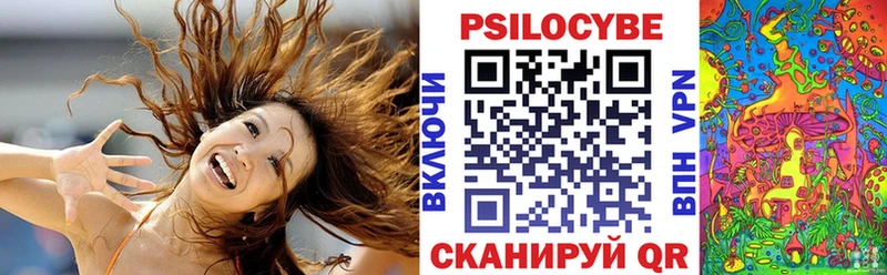 Купить где  Чапаевск  Галлюциногенные грибы MAGIC MUSHROOMS 